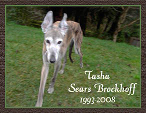 Tasha