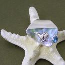 Abalone With Blue Topaz - Click For Enlargement