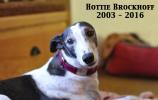  Hottie Brockhoff 2003-2016 - Click For Enlargement