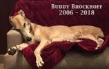 Buddy Brockhoff 2006-2018 - Click For Enlargement