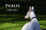 Pickles  Brockhoff  1998 - 2011 - Click For Enlargement